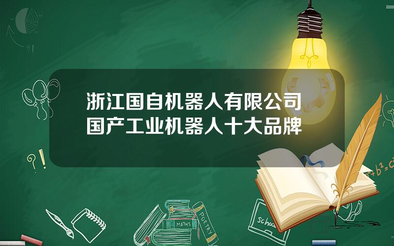 浙江国自机器人有限公司 国产工业机器人十大品牌